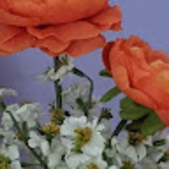 Meet your Posher, Rebecca - Picture 1 of 1